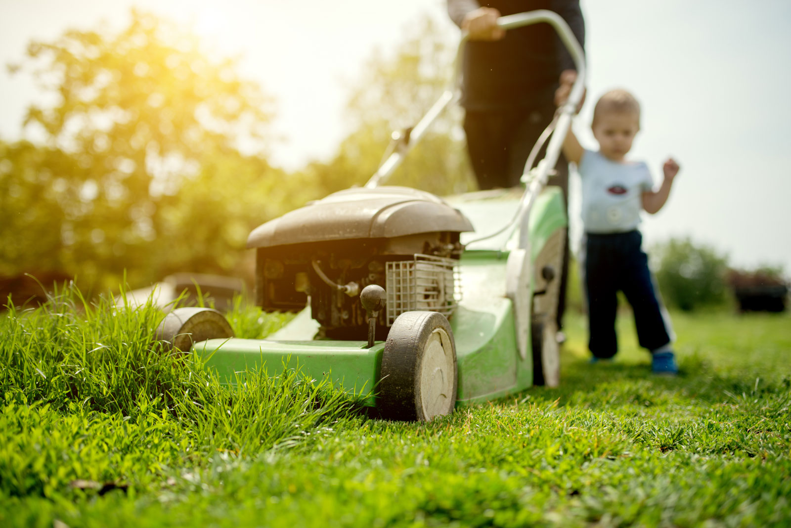 AdobeStock_152582539-small