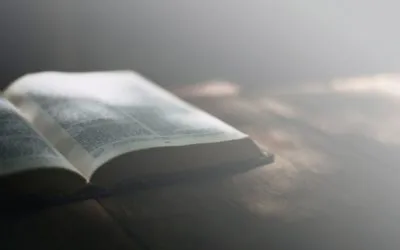 Hope for Loved Ones When There Is a Suicide