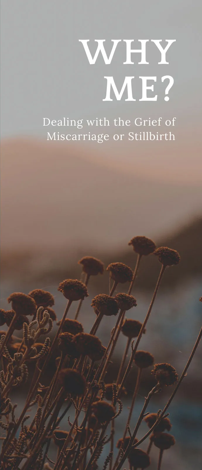 Where Are They Now book-cover