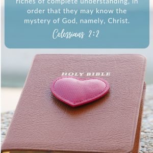 PRO-LIFE BULLETIN COVER - COLOSSIANS 2:2
