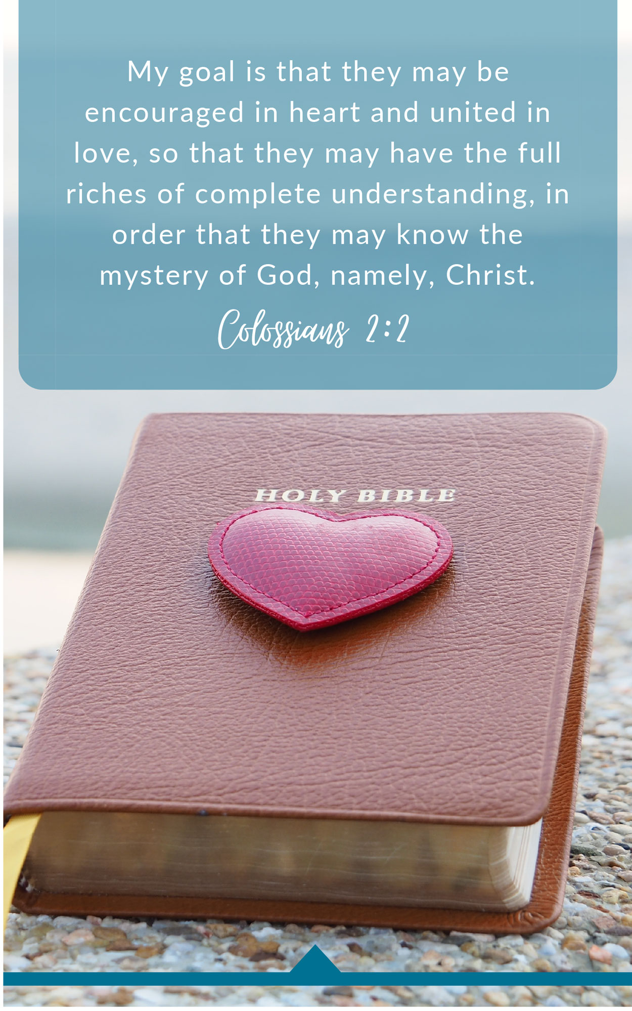 PRO-LIFE BULLETIN COVER - COLOSSIANS 2:2